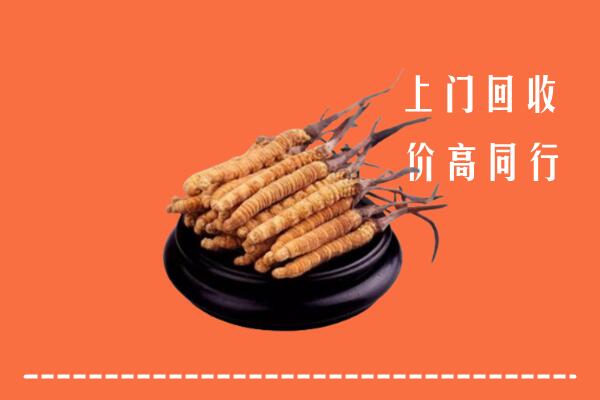 高价求购：桂林市全州回收散虫草